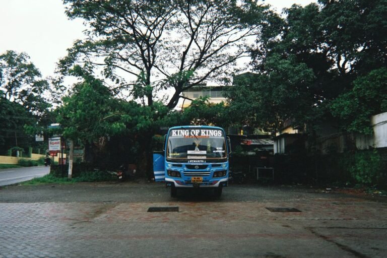 roadside bus stop