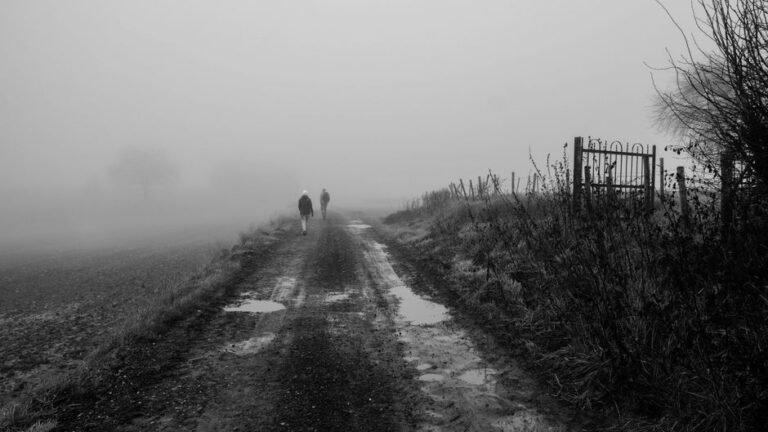 two travellers dirt road