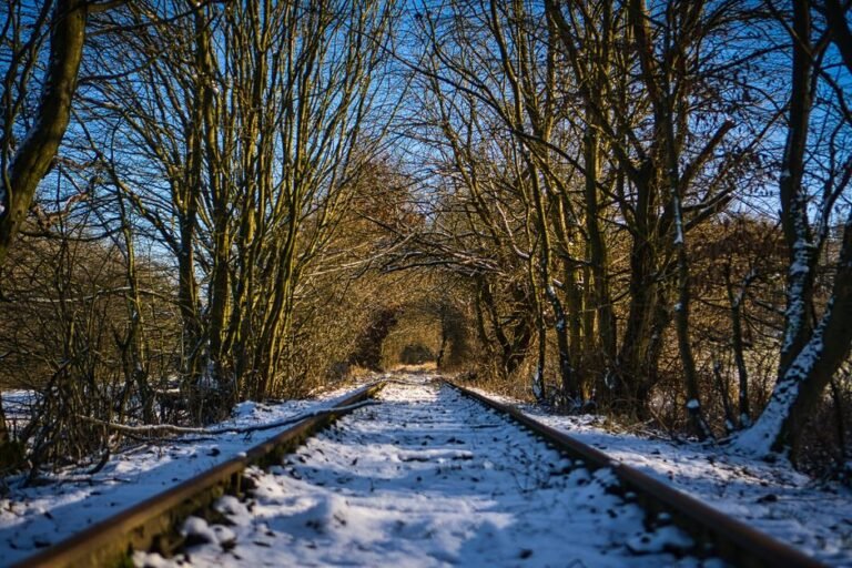 quiet branch line